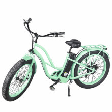 Chinese Fat Tire Electric Women Bike Electric City Bicycle